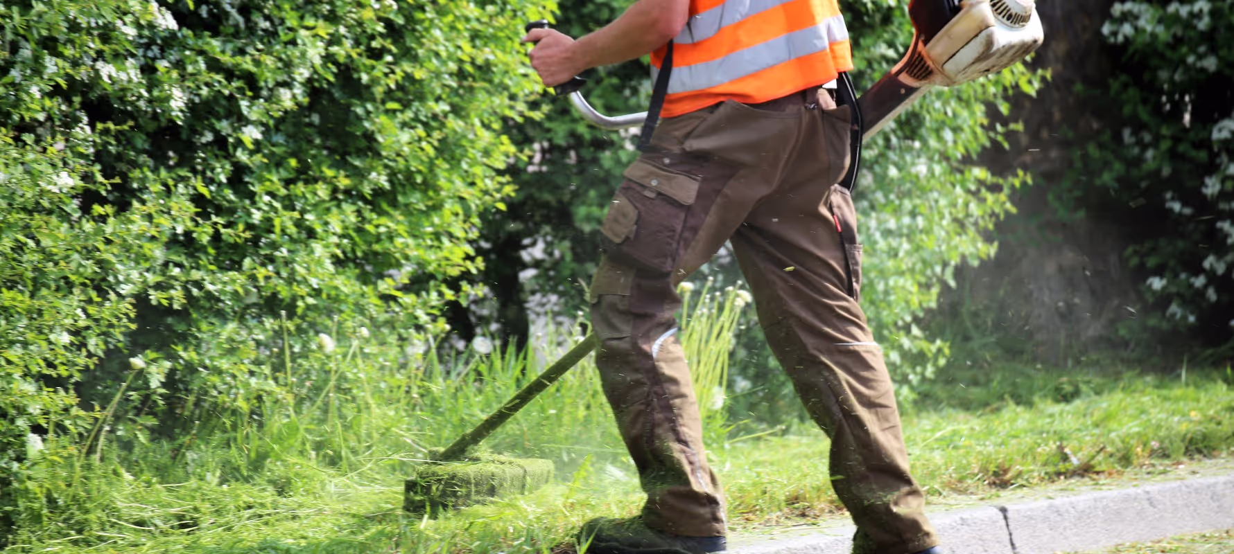 Professionelle Gartenpflege in Köln